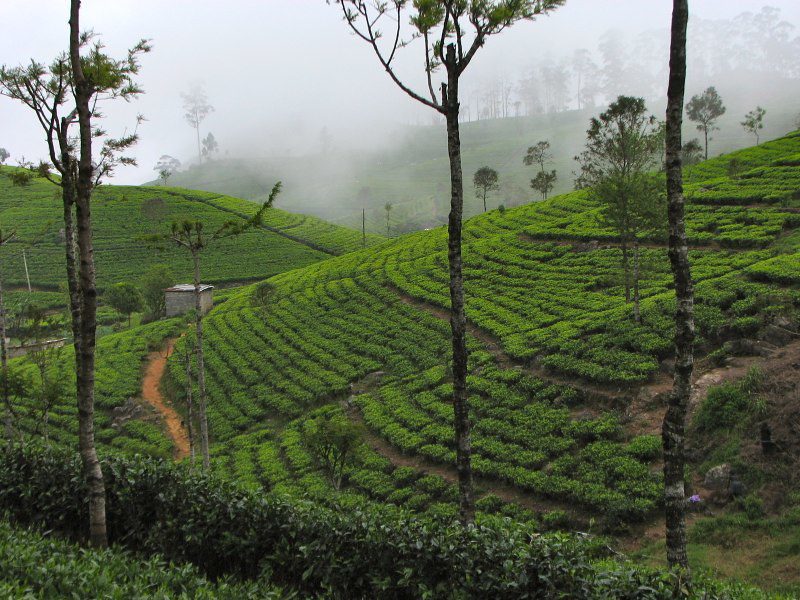 8338714700_ebea4e613f_c