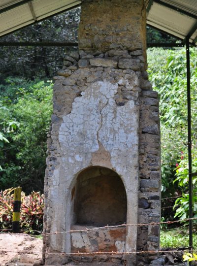 DSC_1073-rotated-400x540