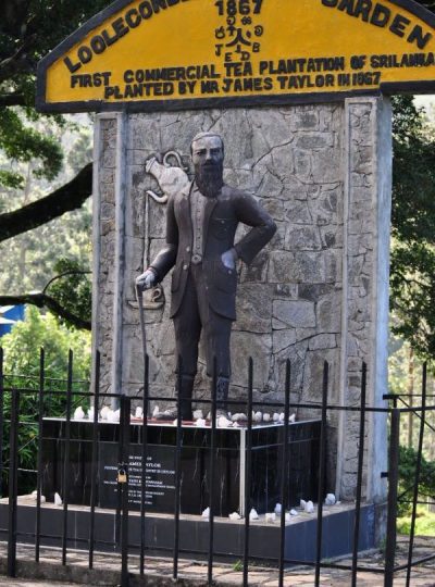 DSC_1211-rotated-400x540