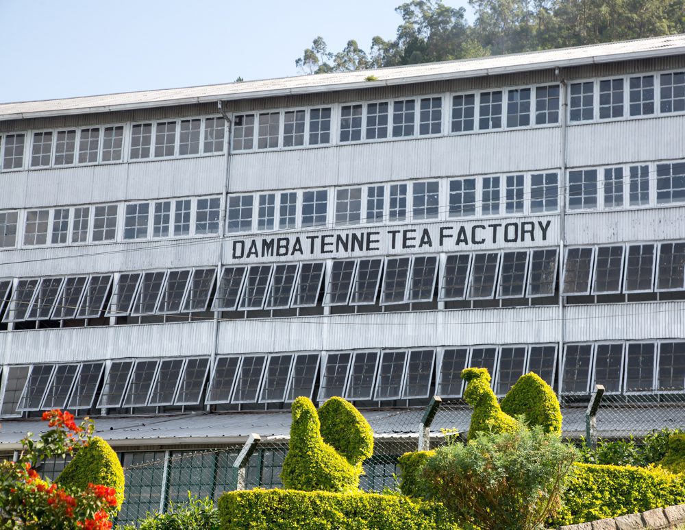 Ella+to+Lipton's+Seat_+Dambatenne+Tea+Factory