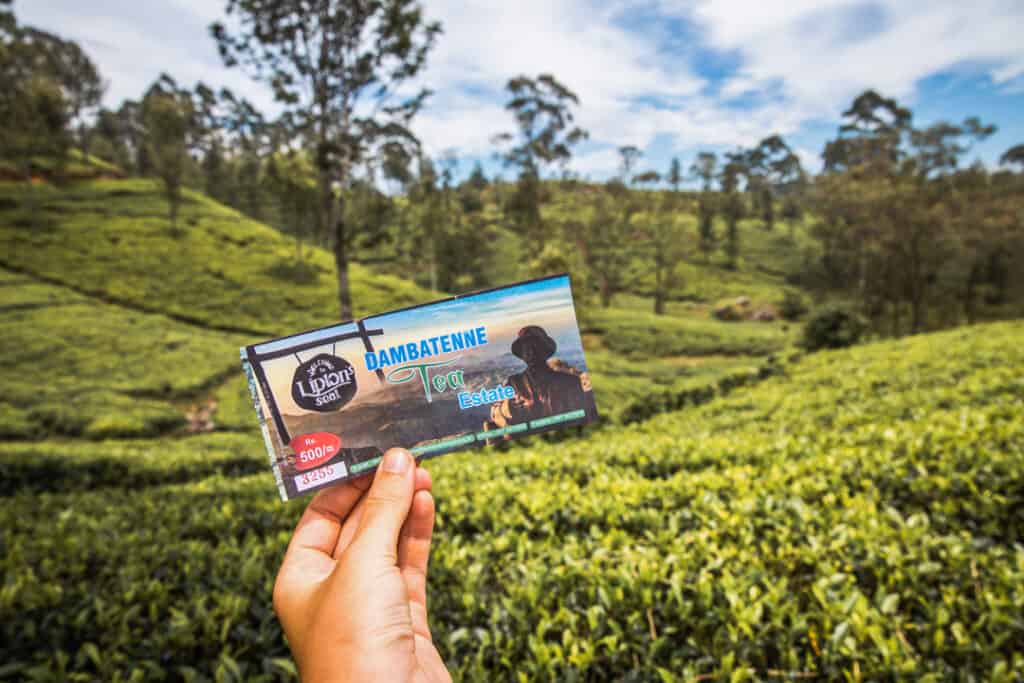 Liptons-Seat-00004-1024x683